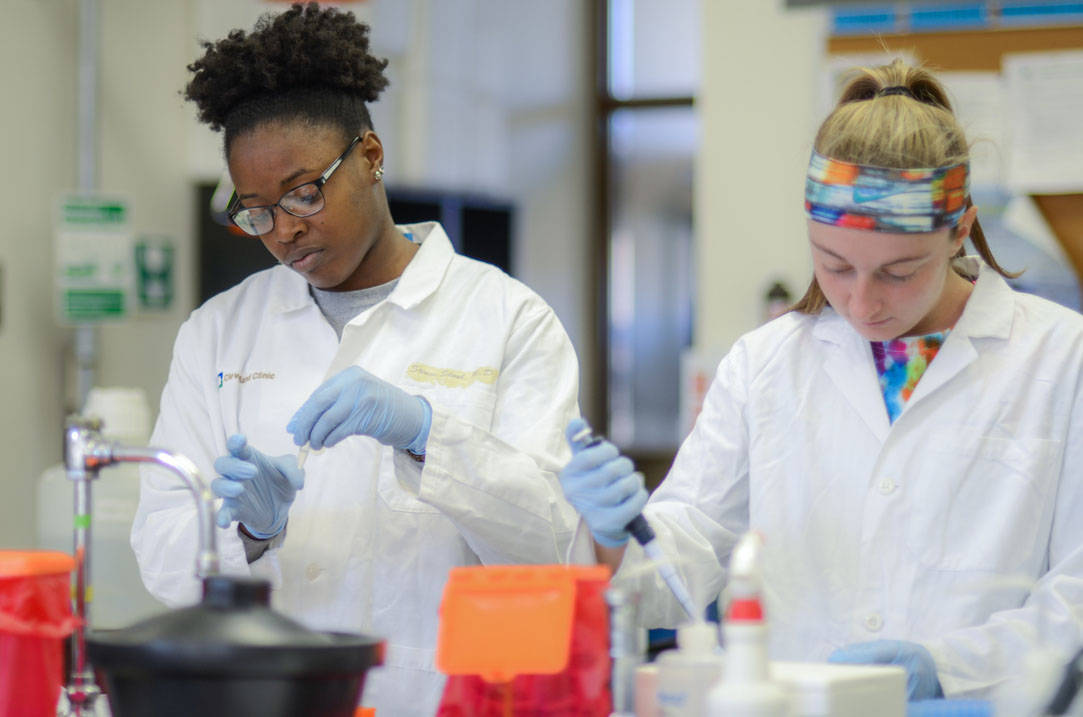 Two biochemistry students conduct experiment