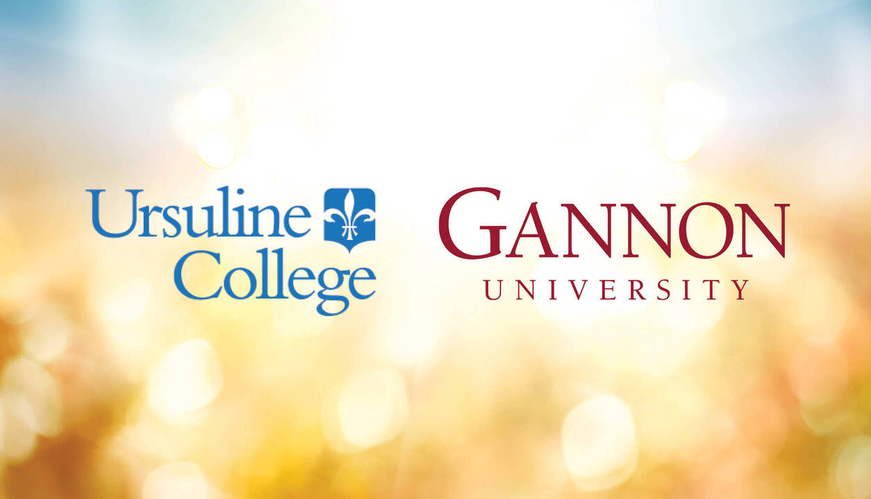 Strategic Partnership with Gannon University