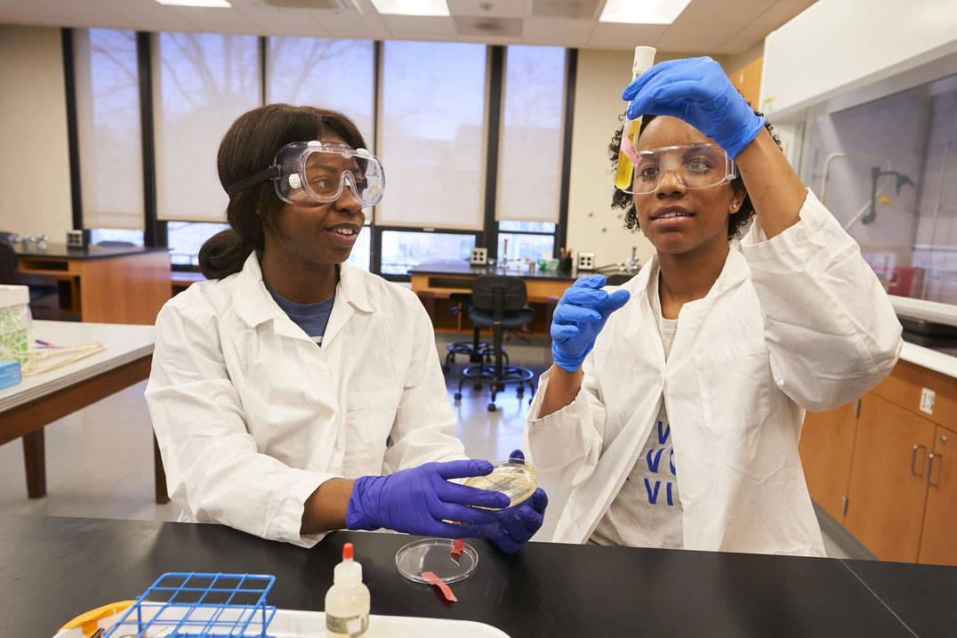 Chemistry students inspect solution