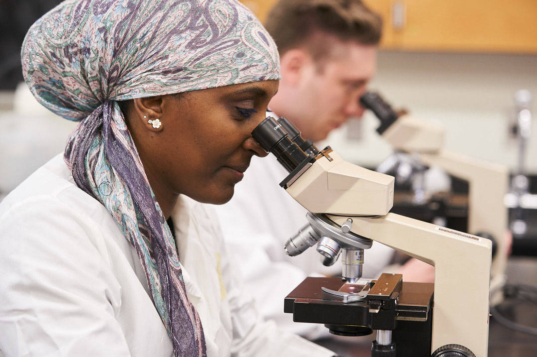 Two students use microscopes