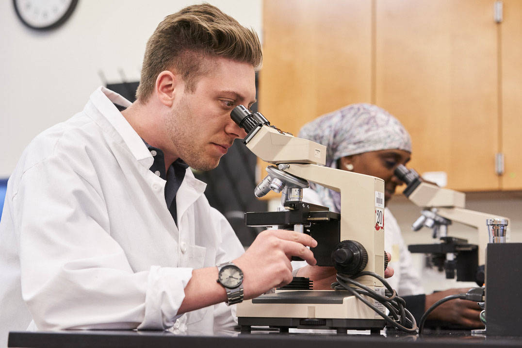 Biology student uses microscope