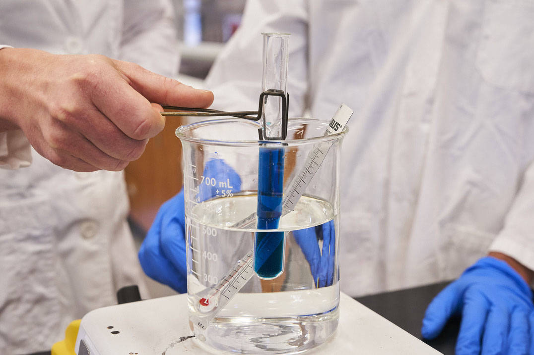 Biology student conducts experiment