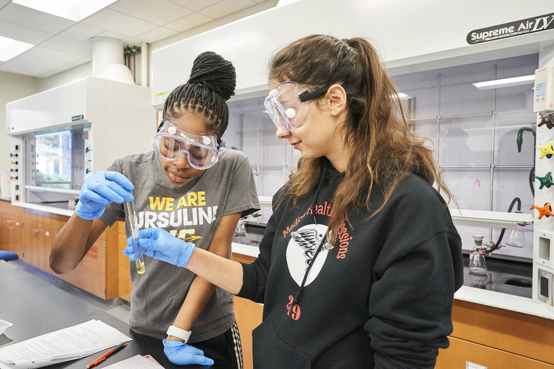 Bachelor's Degree in Medical Laboratory Science