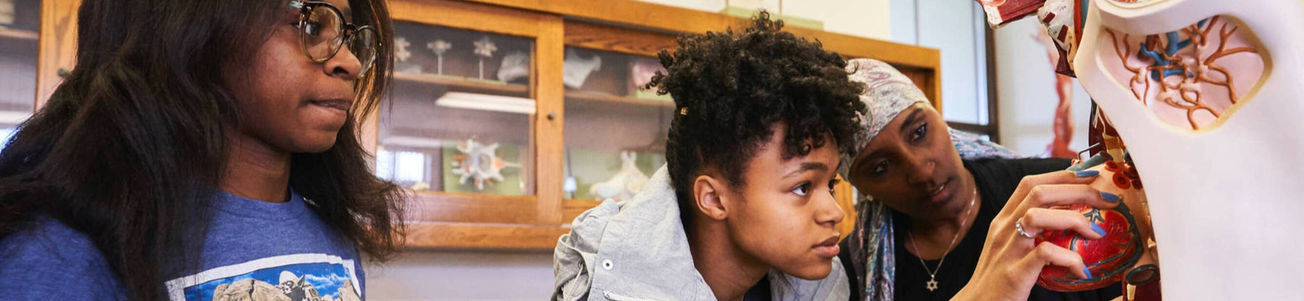 A student studies anatomy